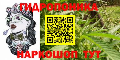 мдма Новозыбков