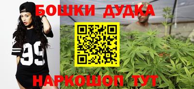 Альфа ПВП Новокубанск