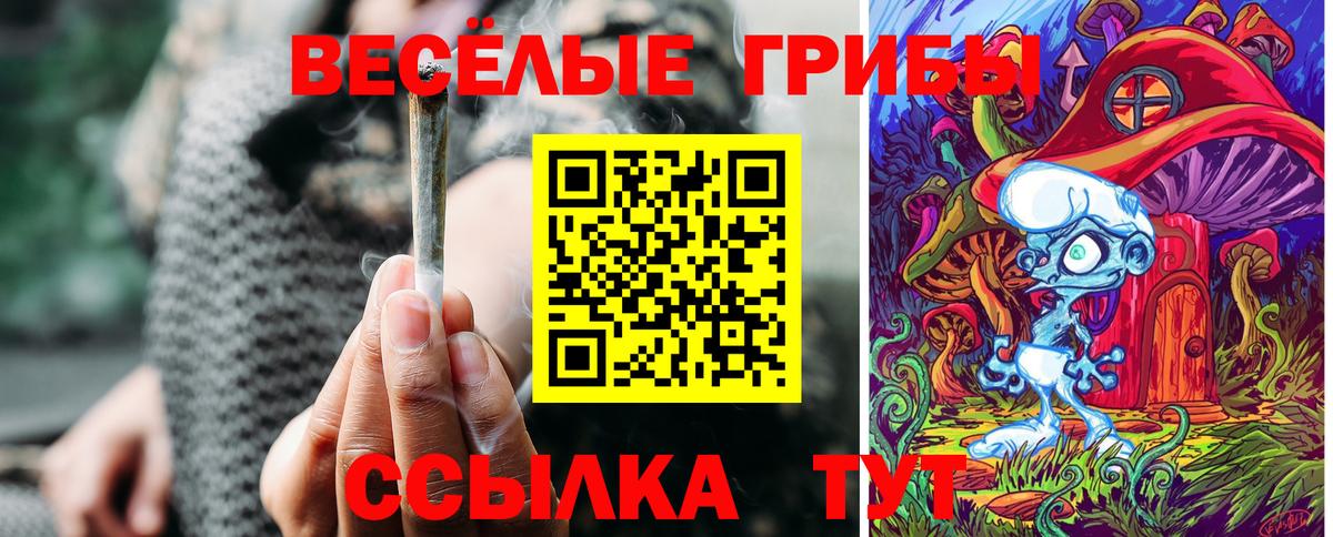 Курск  Псилоцибиновые грибы мухоморы  Вход с VPN 